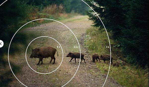 The higher the magnification the smaller the FOV