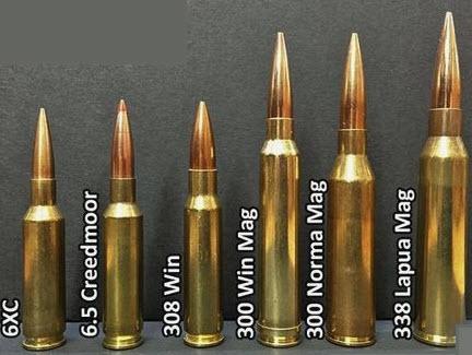 A comparison of the .308 round to other cartridges. Source
