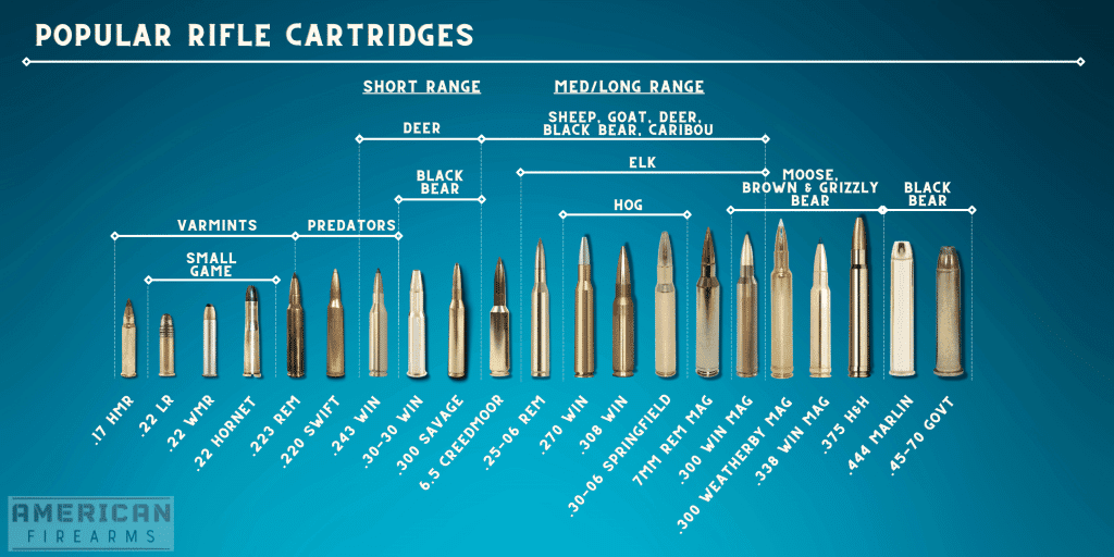 A chart comparting bullet sizes and their uses. 