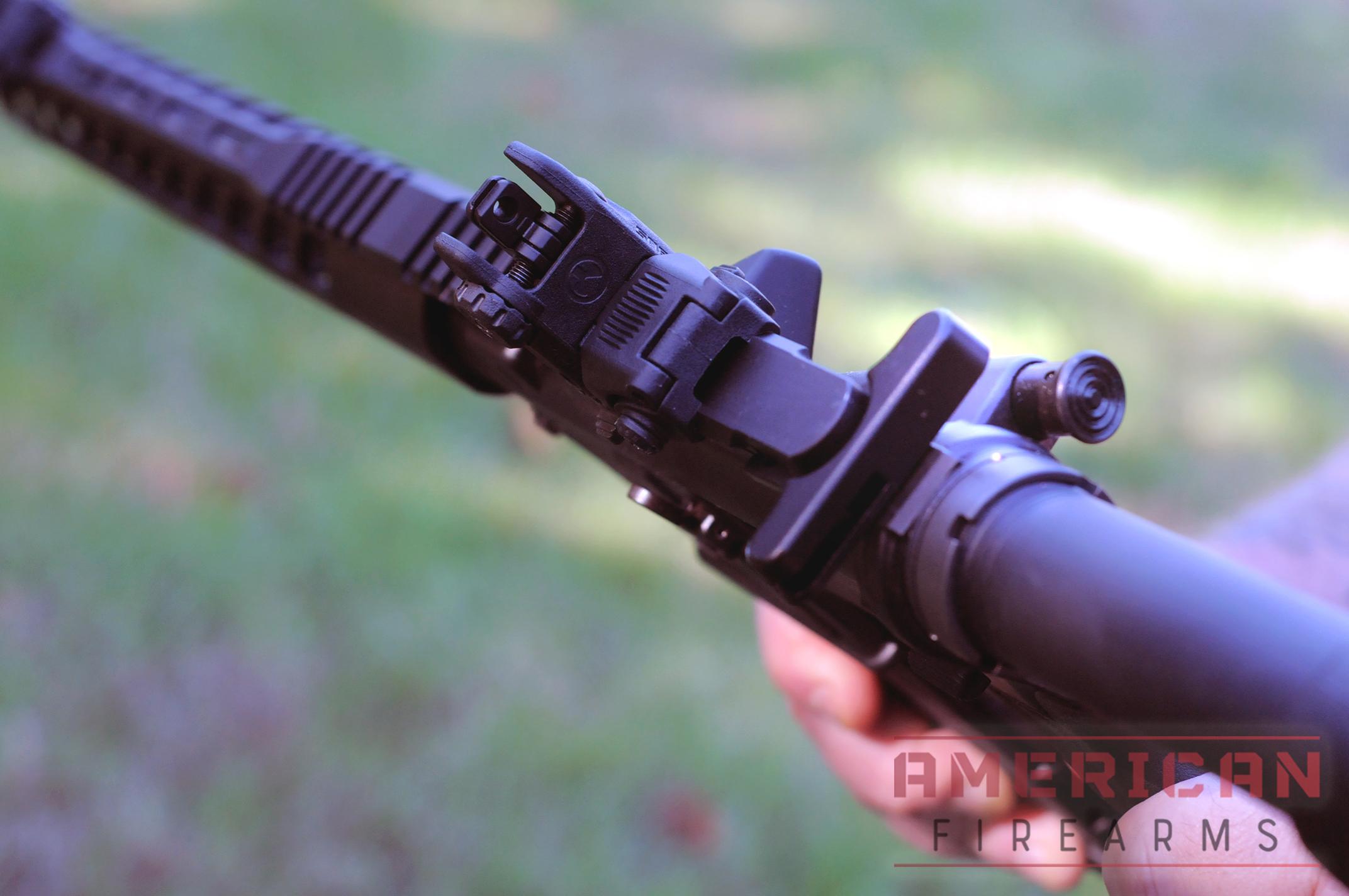 My PA-15 came with Magpul MBUS front and rears, which are great, but I added a magnified optic for more range.