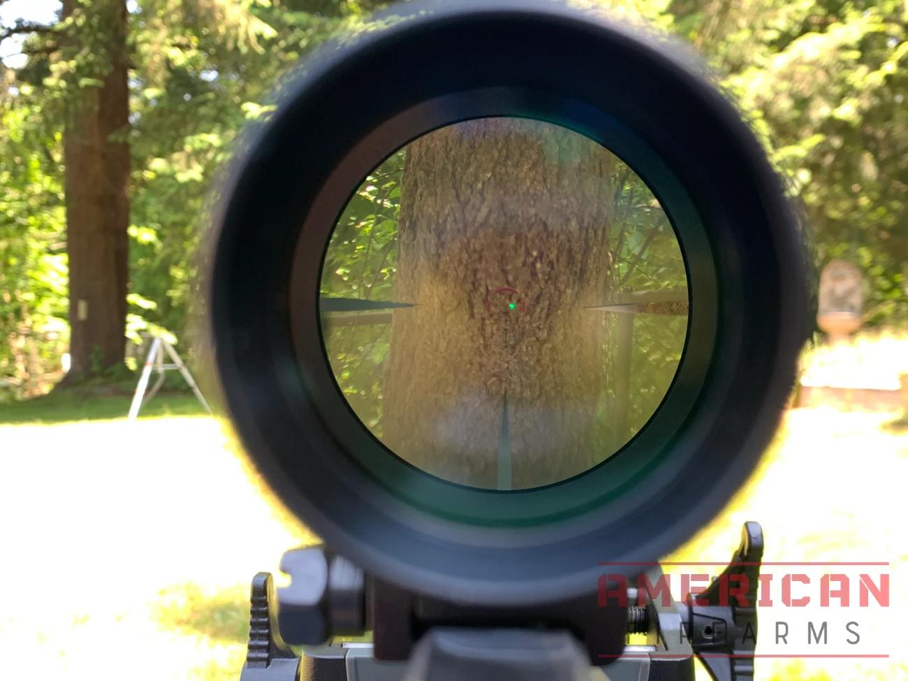 The laser was nice and bright at 50 yards in broad daylight.